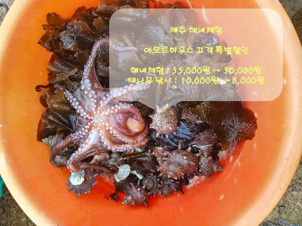 Hotel Amor Jeju Dış mekan fotoğraf