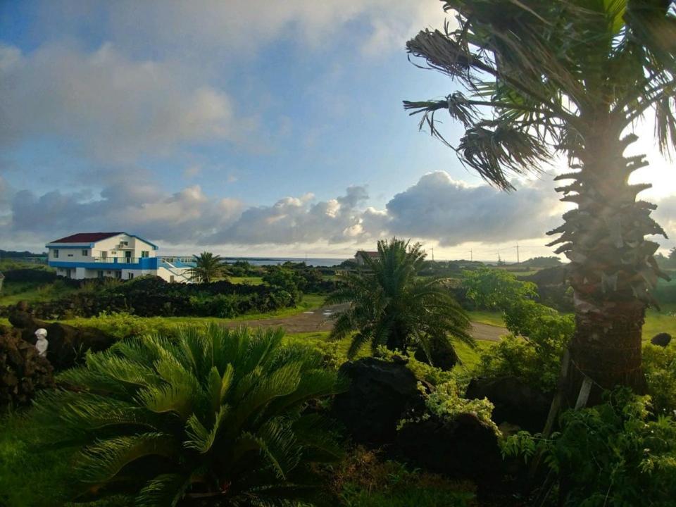 Hotel Amor Jeju Dış mekan fotoğraf