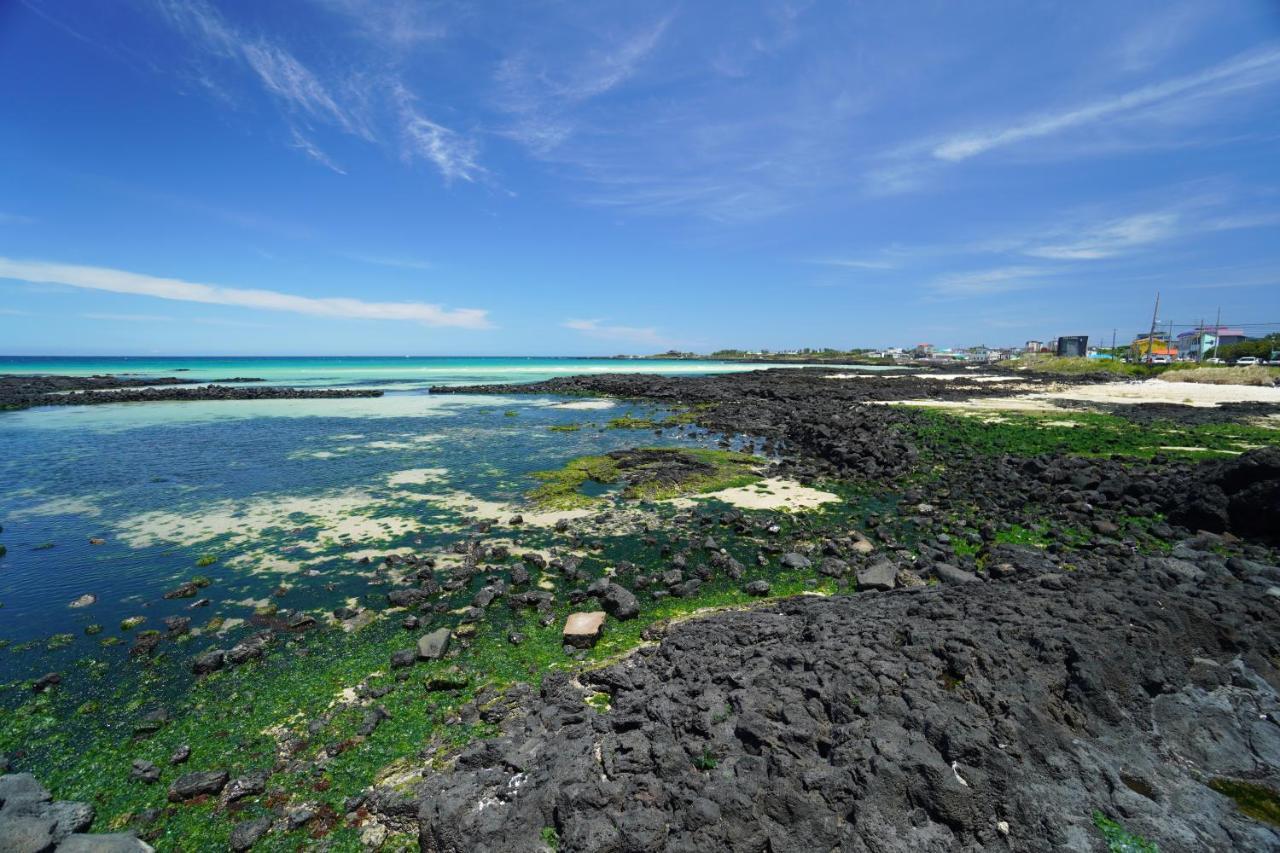 Hotel Amor Jeju Dış mekan fotoğraf